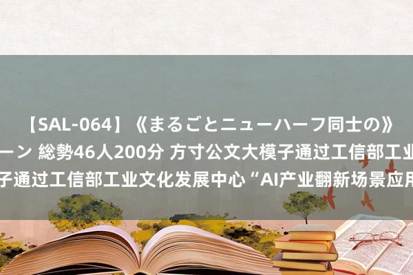 【SAL-064】《まるごとニューハーフ同士の》ペニクリフェラチオシーン 総勢46人200分 方寸公文大模子通过工信部工业文化发展中心“AI产业翻新场景应用案例”评估