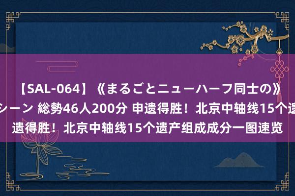 【SAL-064】《まるごとニューハーフ同士の》ペニクリフェラチオシーン 総勢46人200分 申遗得胜！北京中轴线15个遗产组成成分一图速览