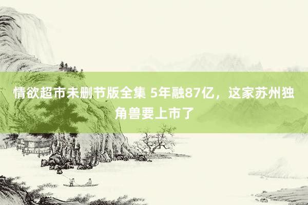 情欲超市未删节版全集 5年融87亿，这家苏州独角兽要上市了