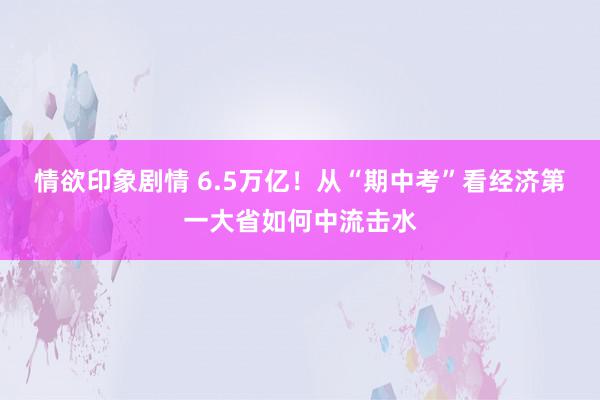 情欲印象剧情 6.5万亿！从“期中考”看经济第一大省如何中流击水