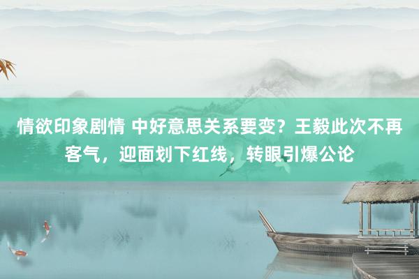 情欲印象剧情 中好意思关系要变？王毅此次不再客气，迎面划下红线，转眼引爆公论