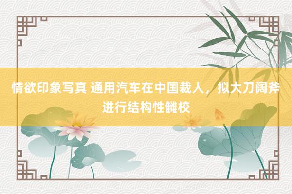 情欲印象写真 通用汽车在中国裁人，拟大刀阔斧进行结构性雠校