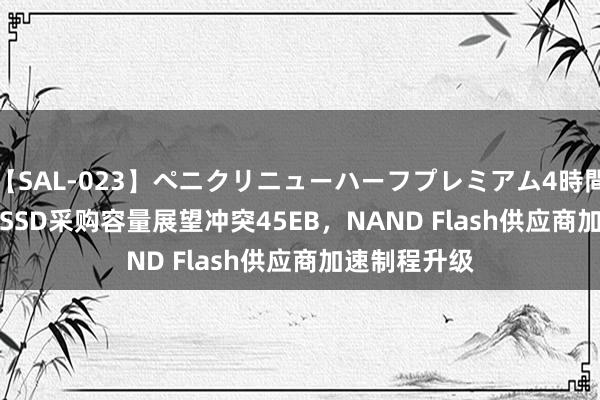 【SAL-023】ペニクリニューハーフプレミアム4時間 2024年AI SSD采购容量展望冲突45EB，NAND Flash供应商加速制程升级