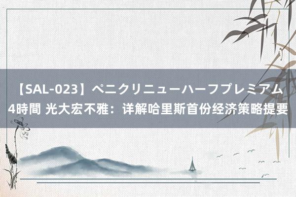 【SAL-023】ペニクリニューハーフプレミアム4時間 光大宏不雅：详解哈里斯首份经济策略提要