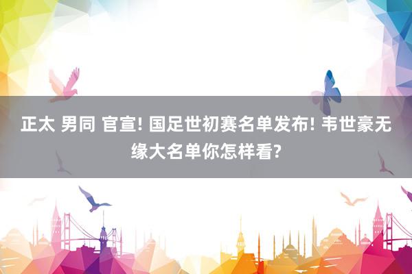 正太 男同 官宣! 国足世初赛名单发布! 韦世豪无缘大名单你怎样看?
