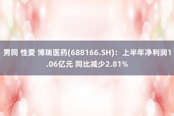 男同 性愛 博瑞医药(688166.SH)：上半年净利润1.06亿元 同比减少2.81%