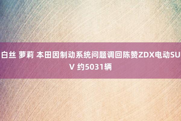 白丝 萝莉 本田因制动系统问题调回陈赞ZDX电动SUV 约5031辆