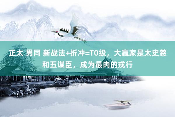 正太 男同 新战法+折冲=T0级，大赢家是太史慈和五谋臣，成为最肉的戎行