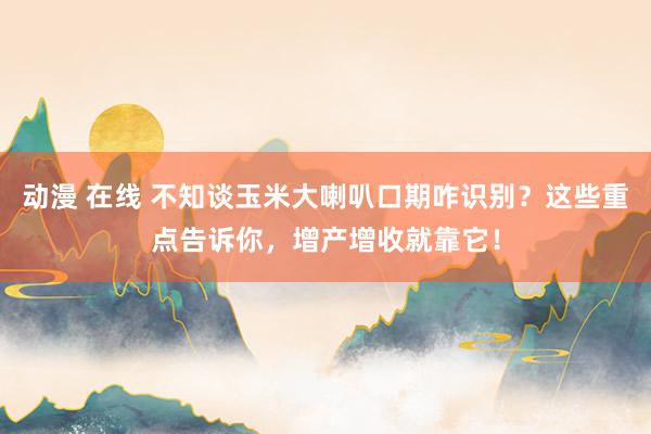 动漫 在线 不知谈玉米大喇叭口期咋识别？这些重点告诉你，增产增收就靠它！