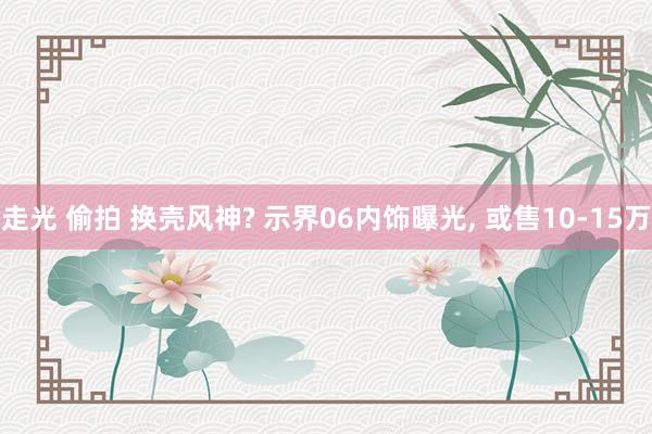 走光 偷拍 换壳风神? 示界06内饰曝光, 或售10-15万