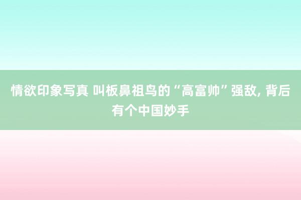 情欲印象写真 叫板鼻祖鸟的“高富帅”强敌, 背后有个中国妙手