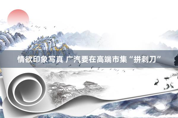 情欲印象写真 广汽要在高端市集“拼刺刀”